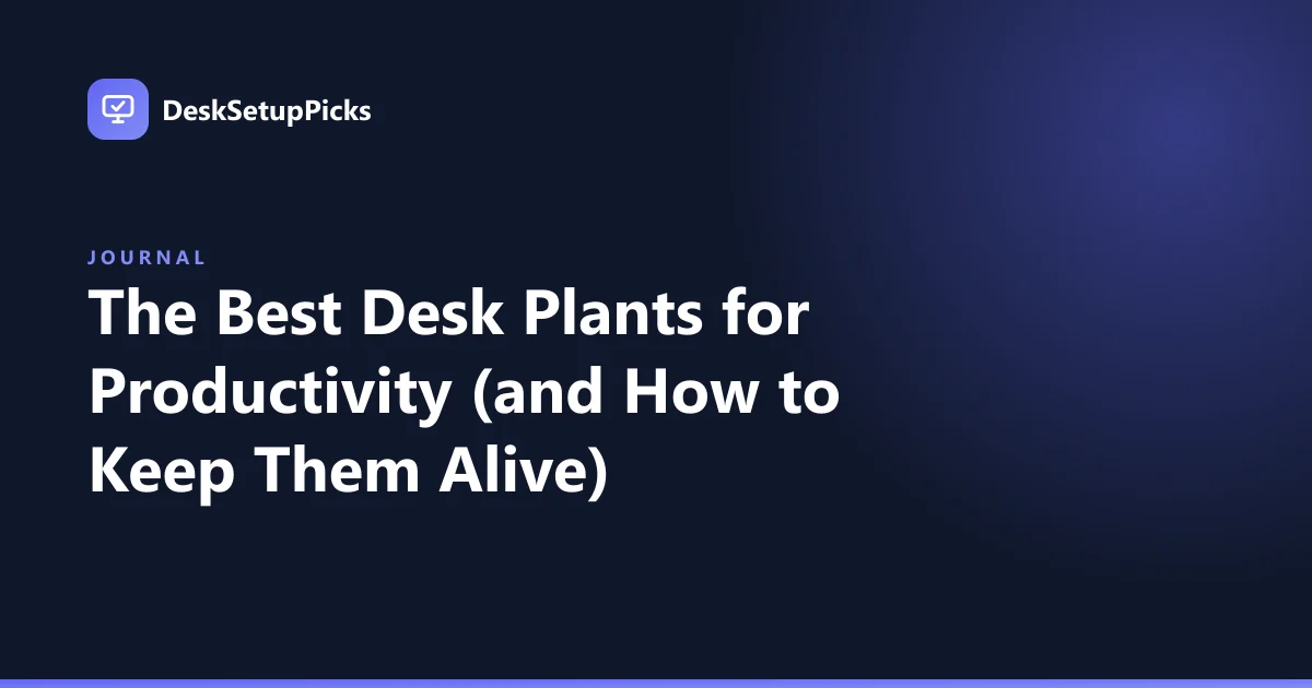 Best Desk Plants for Productivity (and Keeping Them Alive)